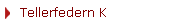 Tellerfedern K